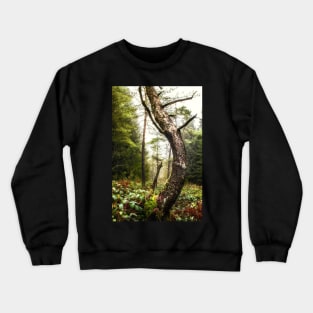 The Greenwood Dancing Pine Crewneck Sweatshirt